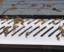 Gutter Tamer